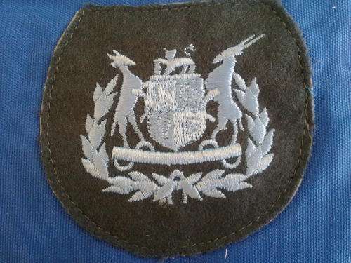 SA ARMY NATIONAL PEACEKEEPING FORCE WARRANT OFFICER 1 BADGES (RARE)